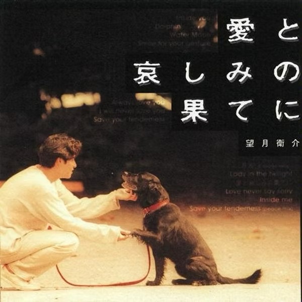 Ai to Kanashimi no Hate ni – album cover